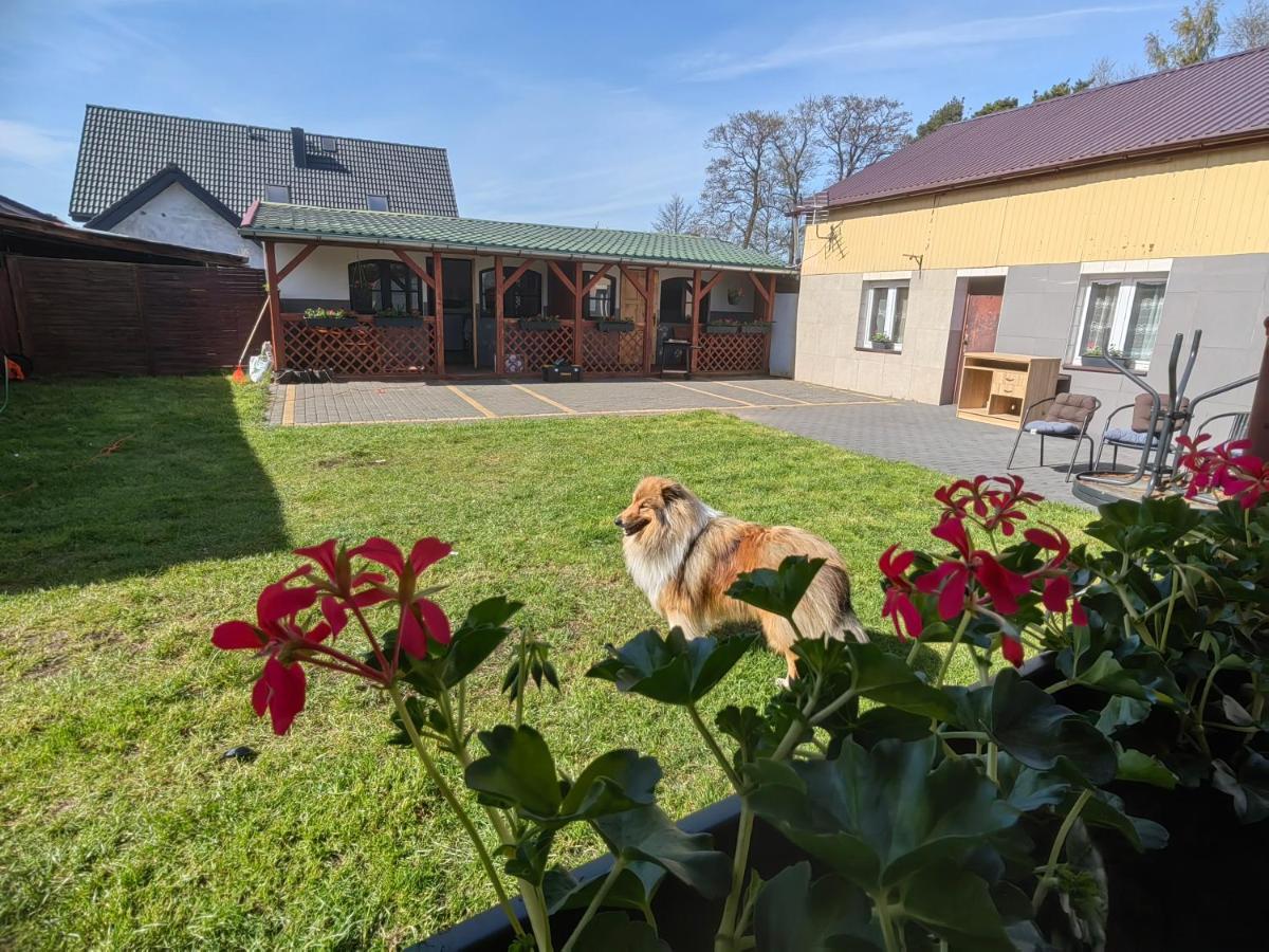 Apartment Siedlisko Pomalenku Zarnowska